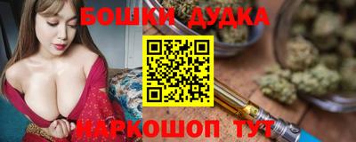 apvp Пугачёв