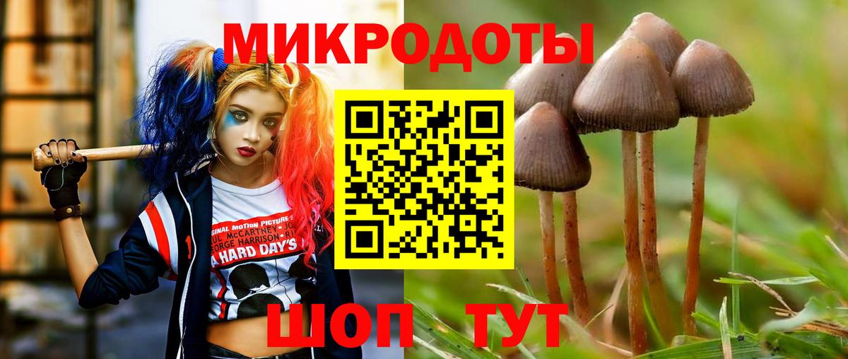 Псилоцибиновые грибы MAGIC MUSHROOMS  Галлюциногенные грибы Psilocybe  Реж  Вход с VPN 